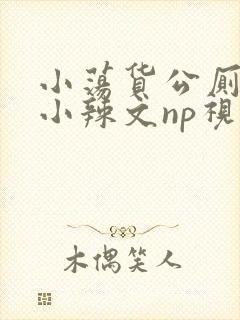 小荡货公厕h文小辣文np视频封面