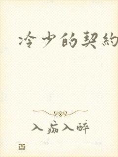 冷少的契约囚奴