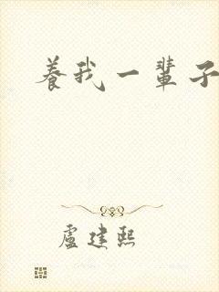 养我一辈子封面