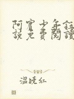 阿宾少年钰慧小说免费阅读笔趣阁封面