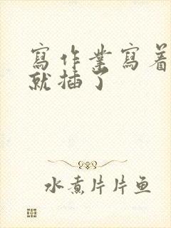 写作业写着写着就插了