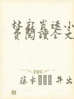 林毅肖远小说免费阅读全文最新章节