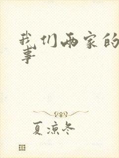 我们两家的荒唐事