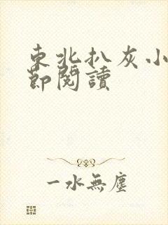 东北扒灰小说分节阅读