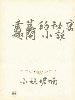 黄蓉的秘密 笔趣阁 小说