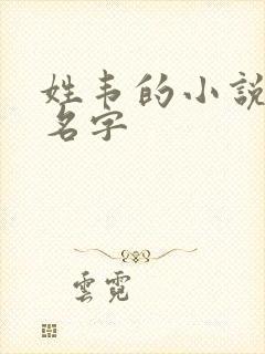 姓韦的小说女主名字