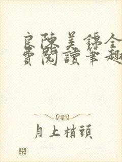 良陈美锦全文免费阅读笔趣阁官网封面