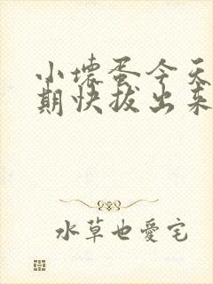 小坏蛋今天危险期快拔出来封面