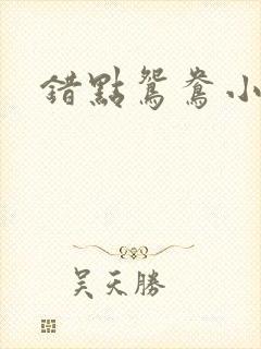 错点鸳鸯小说封面