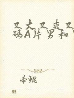 又大又爽又黄无码A片男和男