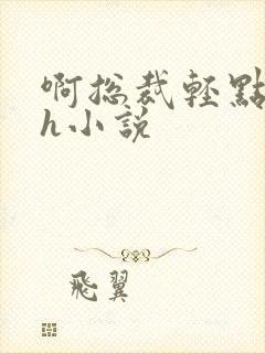 啊总裁轻点奶头h小说