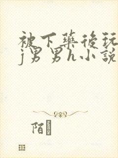 被下药后玩弄迷j男男h小说