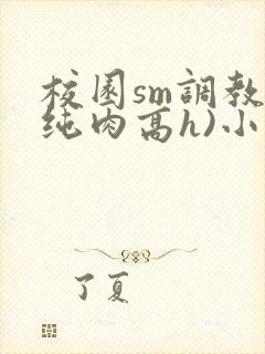 校园sm调教(纯肉高h)小说