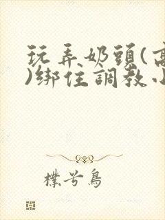 玩弄奶头(高h)绑住调教小说