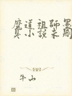 魔道祖师墨香铜臭小说未删版txt