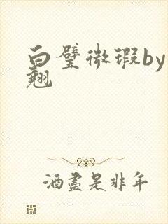白璧微瑕by连翘