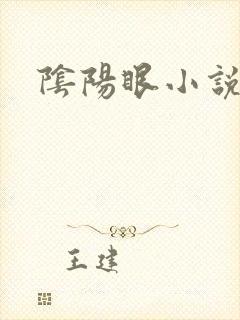 阴阳眼小说