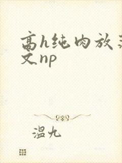高h纯肉放荡h文np封面