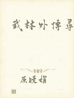 武林外传寻宝封面