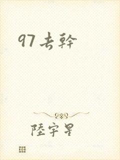 97去干封面