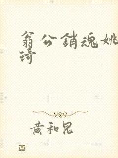 翁公销魂姚瑶琦琦