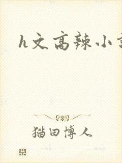 h文高辣小说封面
