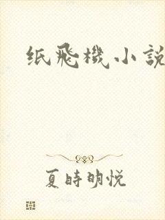 纸飞机小说