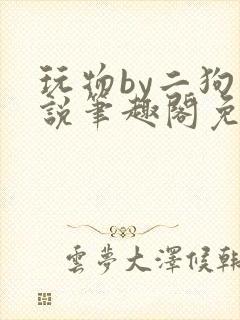 玩物by二狗小说笔趣阁免费阅读