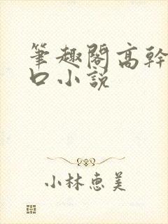 笔趣阁高干文入口小说