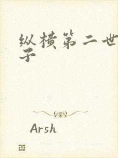 纵横第二世界宽子封面