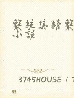 系统集精系统 小说