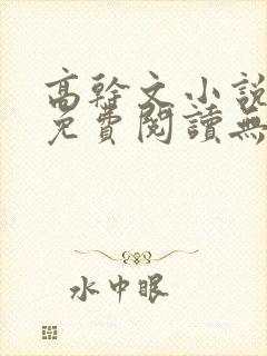 高干文小说全文免费阅读无弹窗封面