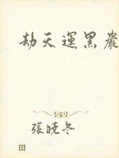 劫天运黑岩封面