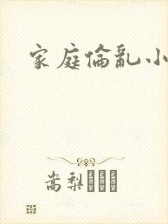家庭伦乱小说封面