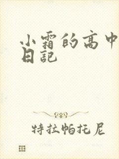 小霜的高中成长日记封面