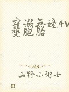 宠溺无边4V2双胞胎