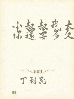 小叔叔我太累了你还要多久封面