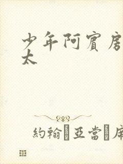 少年阿宾房东太太