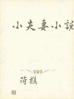 小夫妻小说