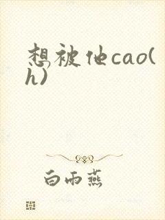 想被他cao(h)封面