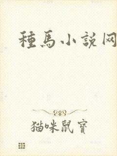 种马小说网封面