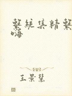 系统集精系统高嗨