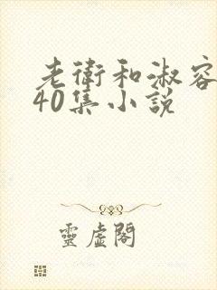 老卫和淑容1-40集小说