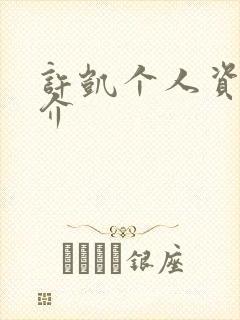 许凯个人资料简介