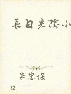 长日光阴小说