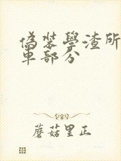 伪装学渣所有开车部分