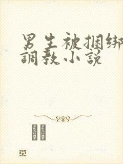 男生被捆绑束缚调教小说