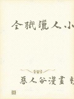 全职猎人小说封面