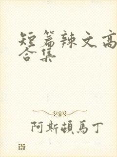 短篇辣文高h文合集封面