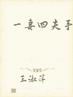 一妻四夫手记封面